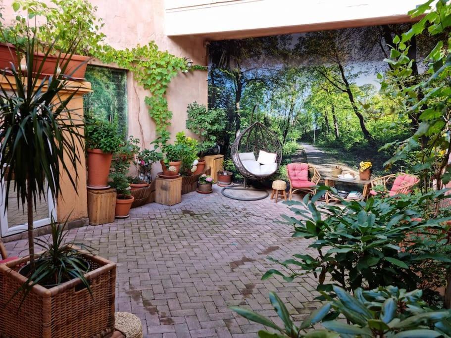 Downtown Premium Villa Brasov Exterior photo