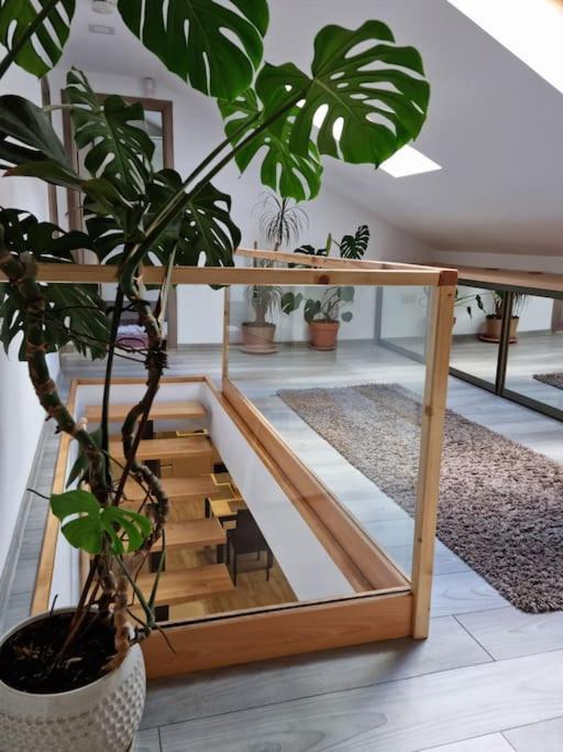 Downtown Premium Villa Brasov Exterior photo